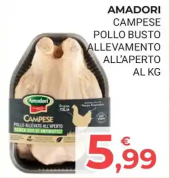 Eté AMADORI CAMPESE POLLO BUSTO ALLEVAMENTO ALL'APERTO offerta