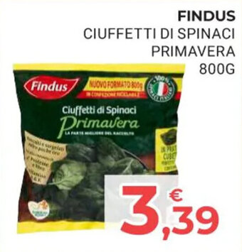 Eté FINDUS CIUFFETTI DI SPINACI PRIMAVERA 800G offerta