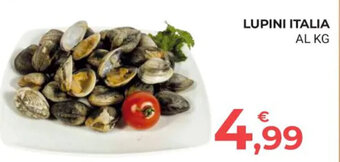 Eté LUPINI ITALIA offerta