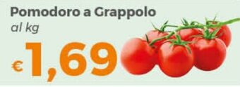 Tocal Pomodoro a Grappolo offerta