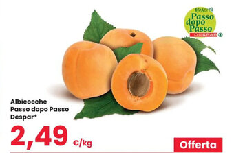 Despar Albicocche Passo dopo Passo Despar* offerta