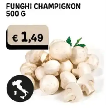Gala Supermercati FUNGHI CHAMPIGNON 500 G offerta