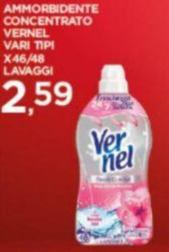 AMMORBIDENTE CONCENTRATO VERNEL VARI TIPI X46/48 LAVAGGI