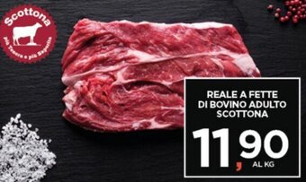 Interspar REALE A FETTE DI BOVINO ADULTO SCOTTONA offerta