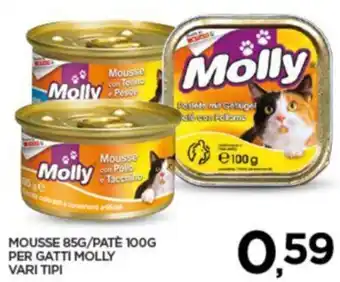 Interspar MOUSSE 85G/PATÈ 100G PER GATTI MOLLY VARI TIPI offerta