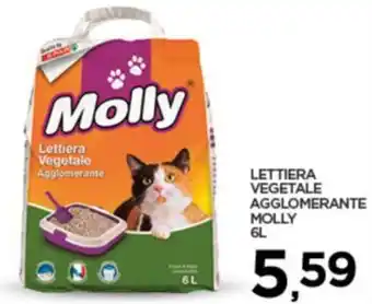 LETTIERA VEGETALE AGGLOMERANTE MOLLY 6L