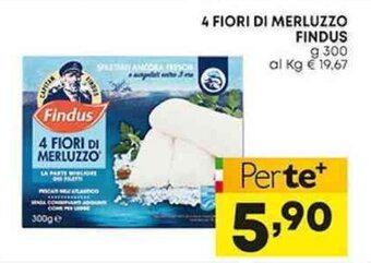 Pam 4 FIORI DI MERLUZZO FINDUS g 300 offerta