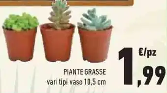 Conad Superstore PIANTE GRASSE vari tipi vaso 10,5 cm offerta