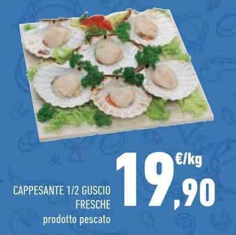 CAPPESANTE 1/2 GUSCIO FRESCHE