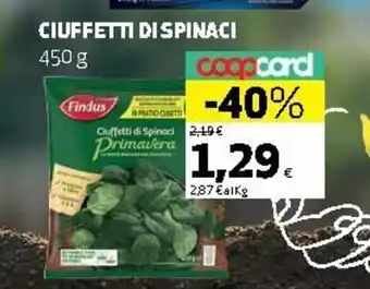 Ipercoop Findus Ciuffetti di Spinaci 450g offerta