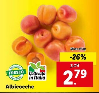 Lidl Albicocche offerta