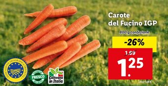 Lidl Carote del Fucino IGP 800 g confezione offerta