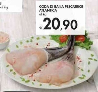 Bennet CODA DI RANA PESCATRICE ATLANTICA offerta
