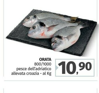 Pam Orata offerta