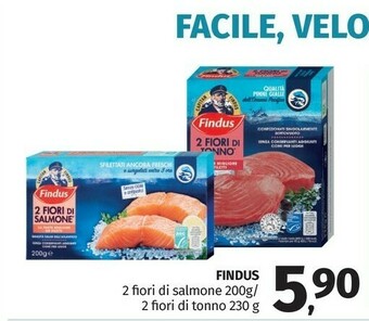 Pam Findus 2 Fiori Di Salmone 200 G(ml) offerta