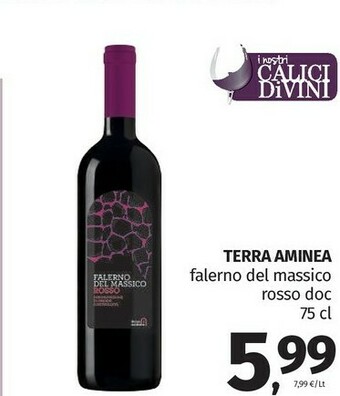Pam Terra Aminea Falerno Del Massico Rosso DOC 750 Ml offerta