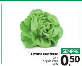 Pam Lattuga Trocadero offerta
