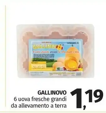 Pam Gallinovo Uova Fresche Grandi offerta