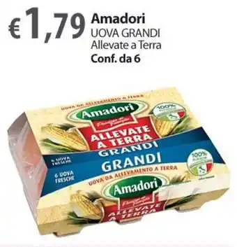 Extra Supermercati Amadori UOVA GRANDI Allevate a Terra Conf. da 6 offerta
