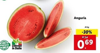 Lidl Anguria offerta