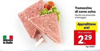 Lidl Tramezzino di carne suina offerta