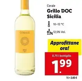 Lidl Corale - grillo doc sicilia offerta