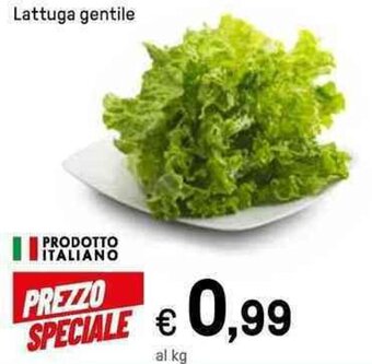 Iper La Grande Lattuga gentile offerta