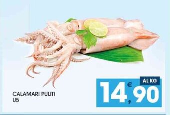 SeBón Supermercati CALAMARI PULITI U5 offerta