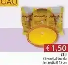 Acqua & Sapone Cau Citronella Fiaccola Terracotta offerta
