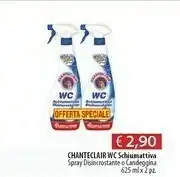 Acqua & Sapone Chanteclair WC Schiumattiva offerta