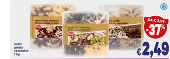 A&O Selex Gelato Vaschetta offerta