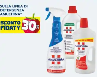 Esselunga SULLA LINEA DI DETERGENZA AMUCHINA offerta
