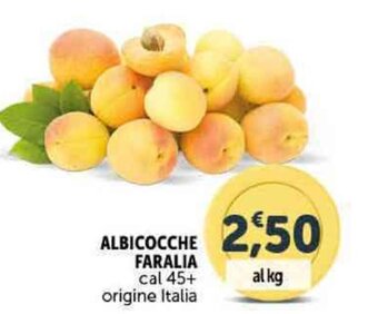 Deco Supermercati ALBICOCCHE FARALIA offerta