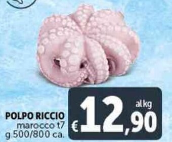 Deco Supermercati POLPO RICCIO marocco t7 g 500/800 ca. offerta