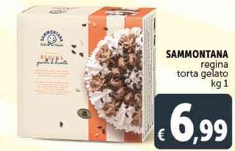 Deco Supermercati SAMMONTANA regina torta gelato kg 1 offerta