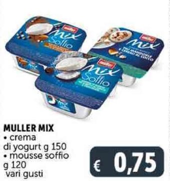 Deco Supermercati MULLER MIX crema di yogurt g 150 offerta