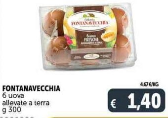 Deco Supermercati FONTANAVECCHIA 6 uova allevate a terra G 300 offerta