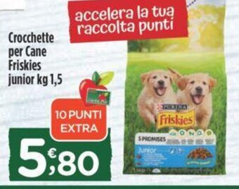 Crai Crocchette per Cane Friskies junior kg 1,5 offerta