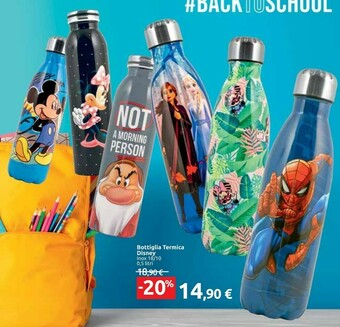 Carrefour Disney Bottiglia Termica offerta