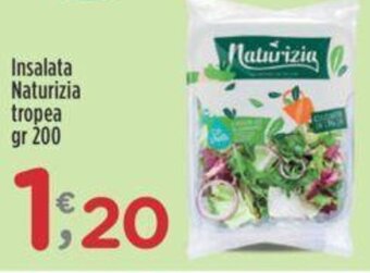 Crai Insalata Naturizia tropea gr 200 offerta