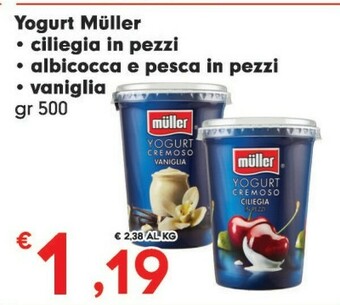 Despar Muller Yogurt offerta