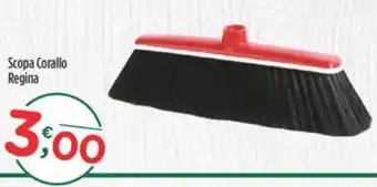 Crai Scopa Corallo Regina offerta
