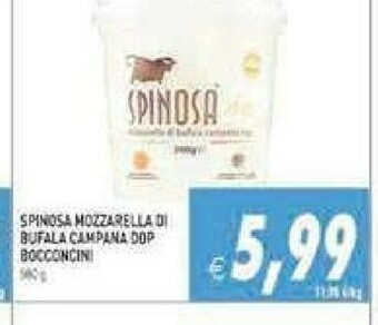 Supermercati Agorà Spinosa Mozzarella di bufala offerta