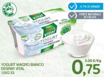 Interspar YOGURT MAGRO BIANCO DESPAR VITAL 125G X2 offerta