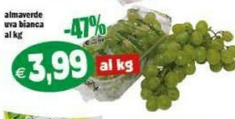 Gros Insalata offerta