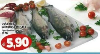 Gros Pesce offerta