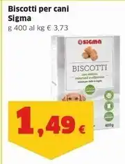 Sigma Sigma biscotti per cani offerta