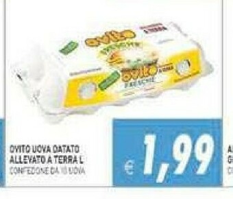 Gros Ovito Uova offerta