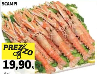 Coop SCAMPI offerta