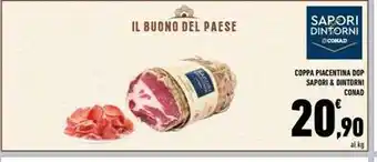 Conad Superstore Felix cibo per gatti offerta